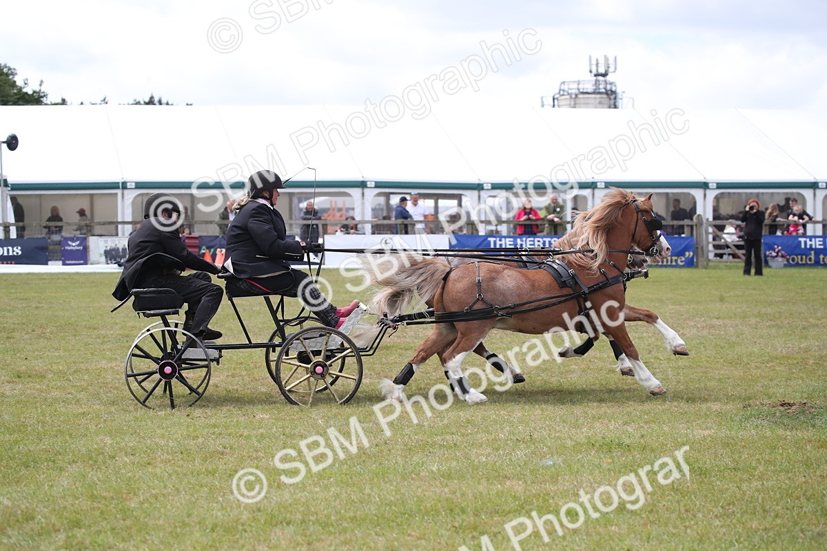 SBM_15509 - Class 90 - Scurry 122cm and Under