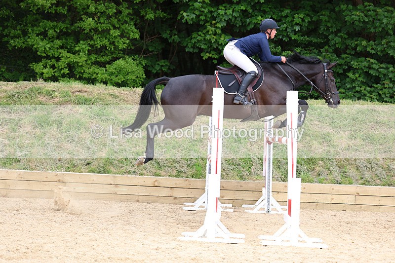 3E7A7532 - Class 8: Senior Foxhunter/1.20 open