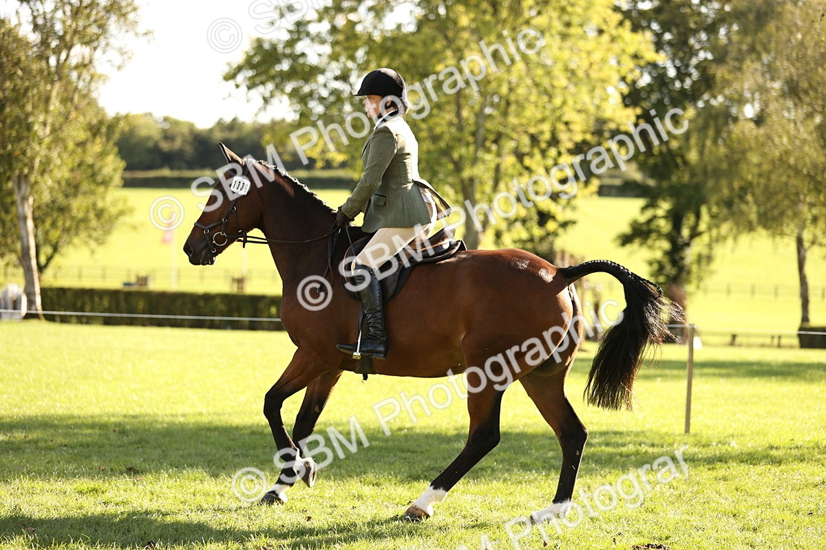 SBM_26462 - S6 - Novice & Newcomers Ridden Horse