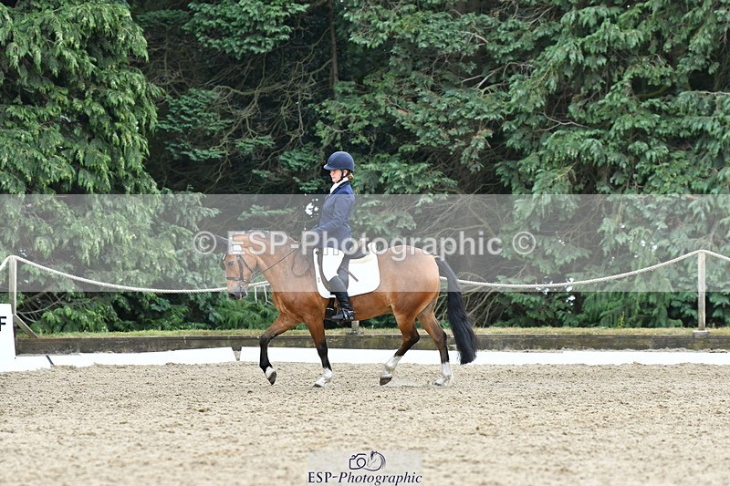 260801A-125719-04106 - Prelim Bronze Break - End