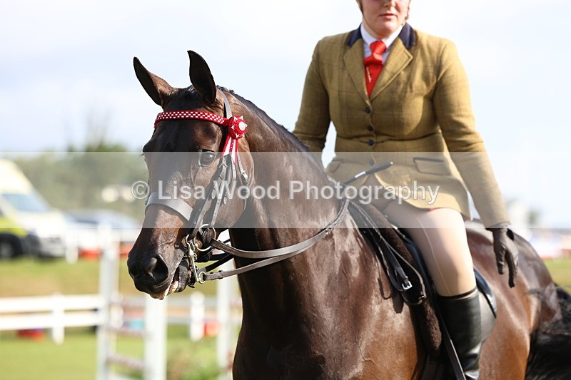 3E7A7856 - Class 1: Rising Star Small Hack/Riding Horses