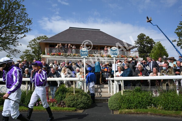 yr18082021r3-5 - Race 3 3.00pm Sky Bet Great Voltigeur Stakes