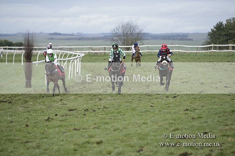 PtP 150320 0751 - New Forest Point-to-Point Larkhill 15/03/20