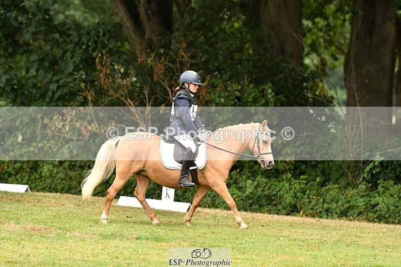 250820A-130415-05731 - 12 to 13.00