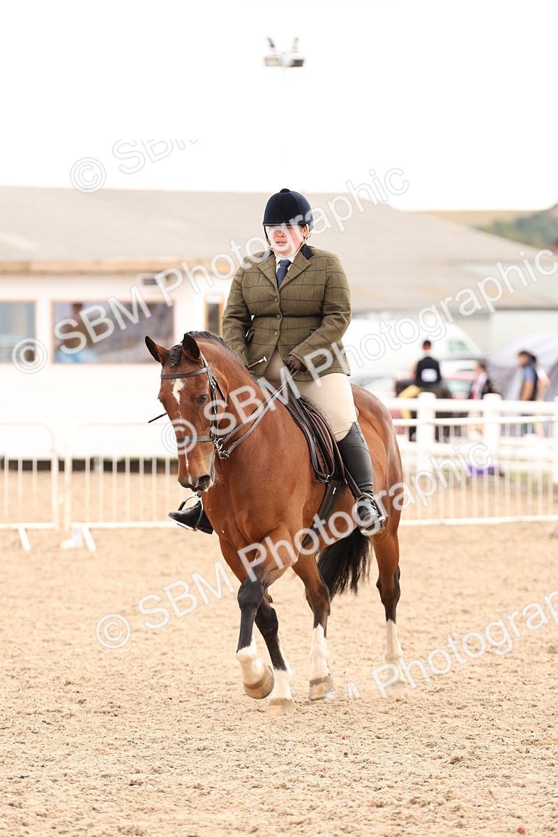 SBM_16494 - Class 212 - Ridden Hunter - Small