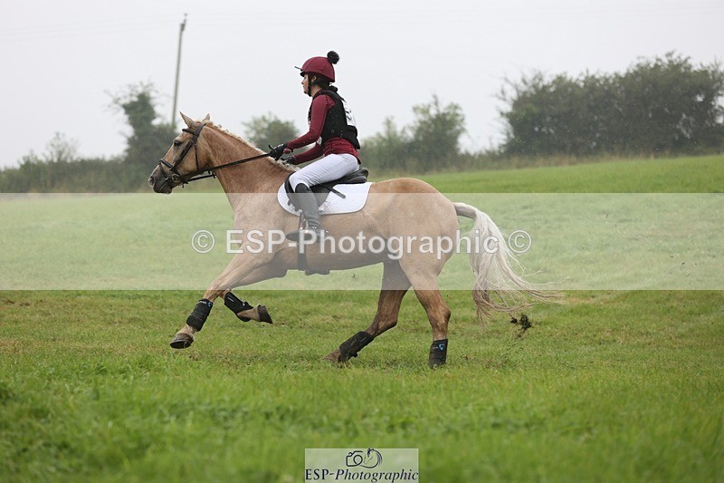 240901A-161612-11158 - 524-Kate.Hicks-SWALLOWCROFT.STARDUST