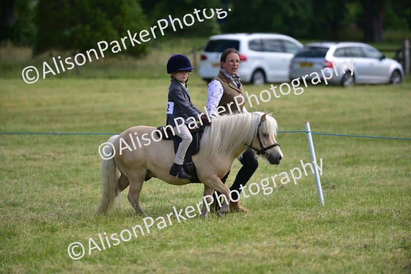 20260614-1121 - Class 11a - Lead Rein Pony (Unplaited)