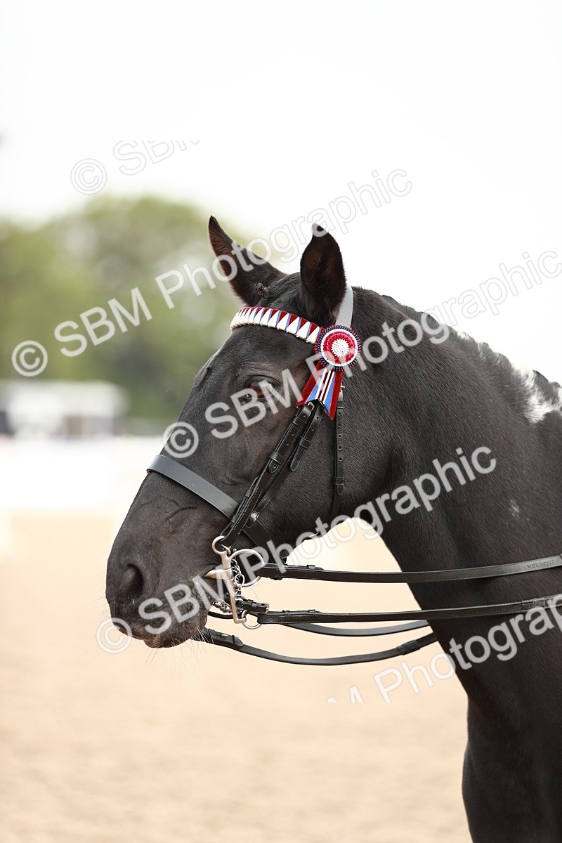 SBM_09435 - Class 202 Best Turned Out Ridden