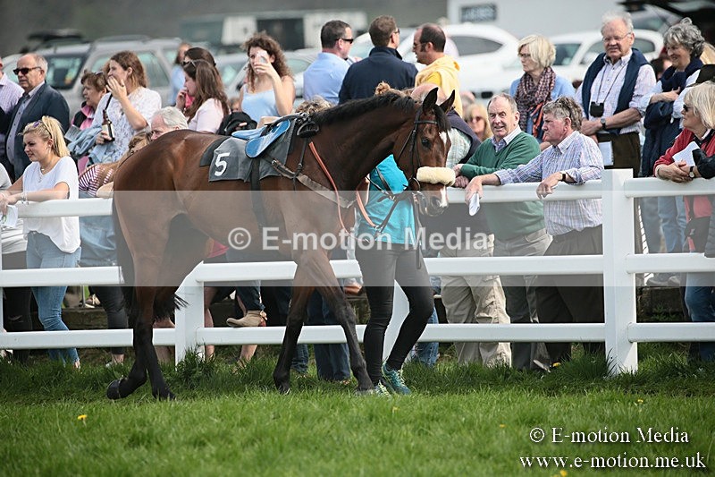 PtP 210418 311 - South & West Wilts Point-to-Point Larkhill 21/04/18