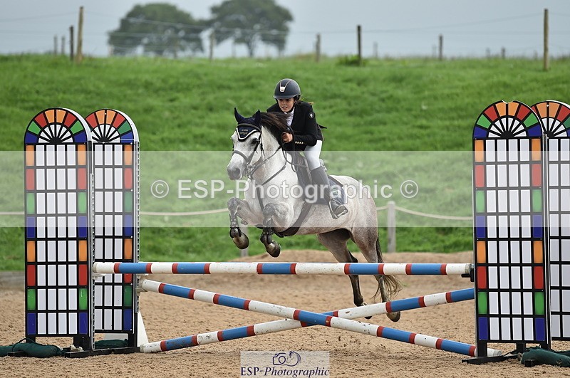 230902A-113038-00732 - Cls 2B Pony Small 80cm