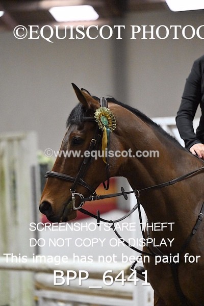 BPP_6441 - CLASS 3  0.85m Amateur Championship Qualifier