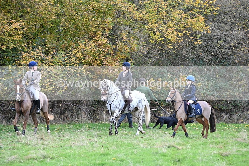 WJ6_0271 - Camera 1