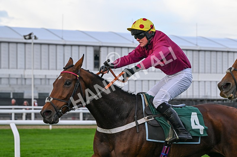 241025-Race 7-Ideal Des Bordes-5976 - Race 7