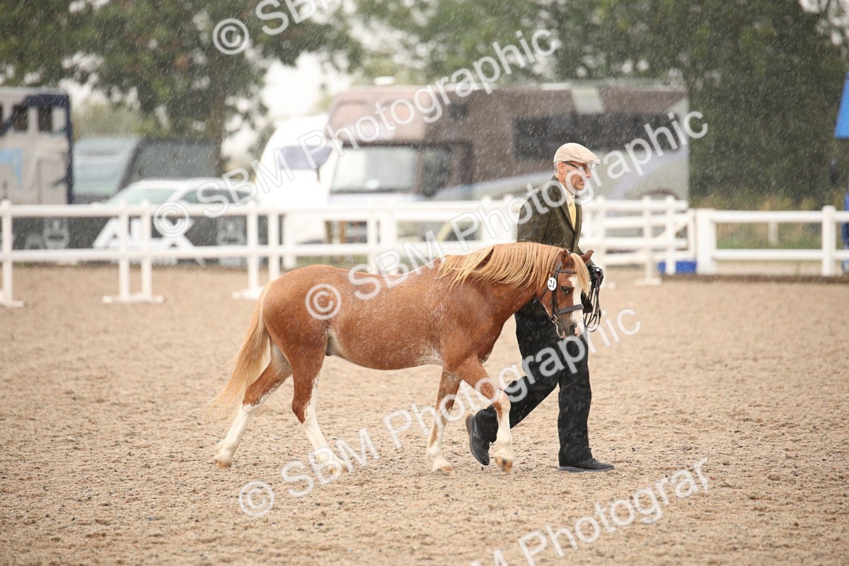 SBM_20665 - Class 705 - IH  Combination 65+