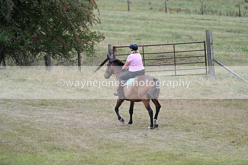 WJ7_6163 - Time 11:50 to 12:09