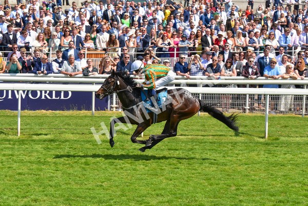 270523-Race 2-Native American-4121 - Race 2 2.10pm Collective Green Energy EBF Restricted Novice Stakes