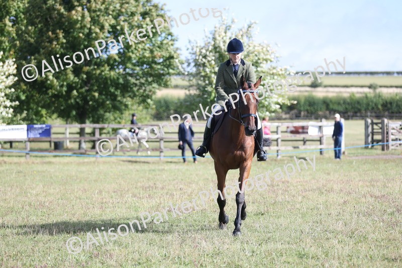 20250831-0837 - Class 14 - Ex Racehorse