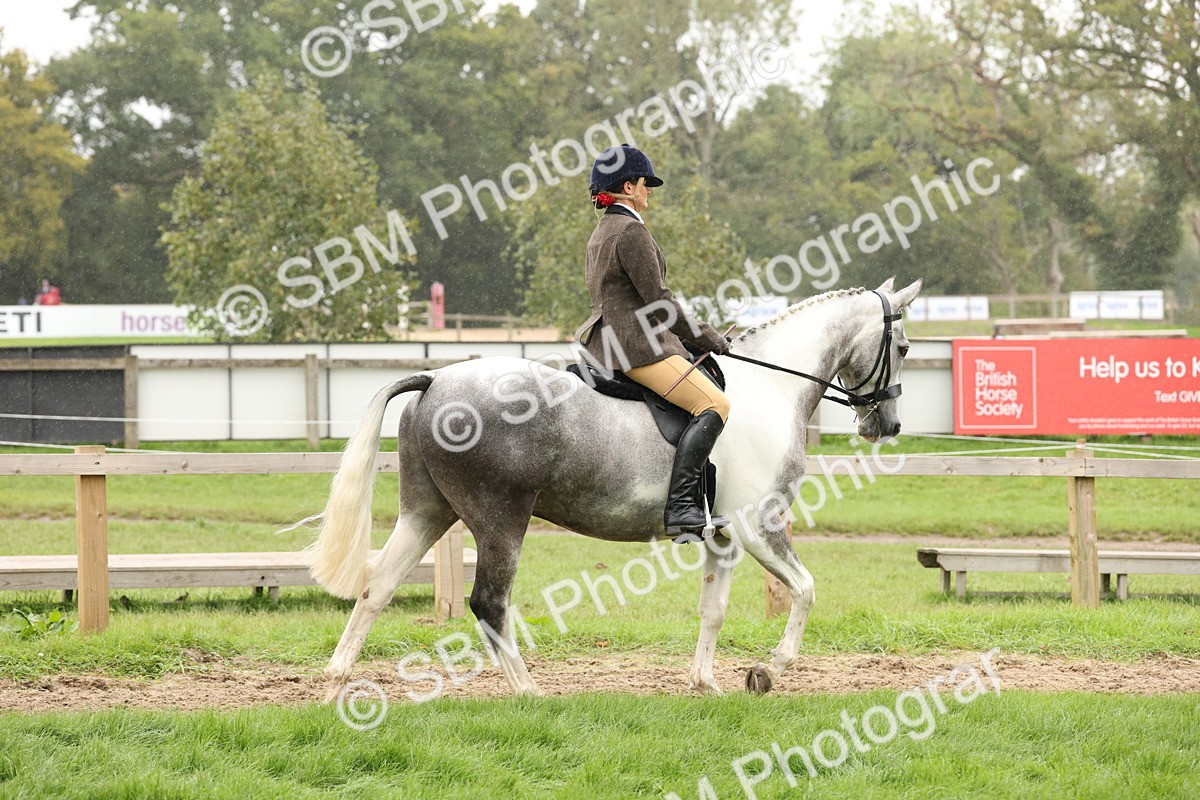 SBM_69875 - S68 - Other Coloured Horse Ridden
