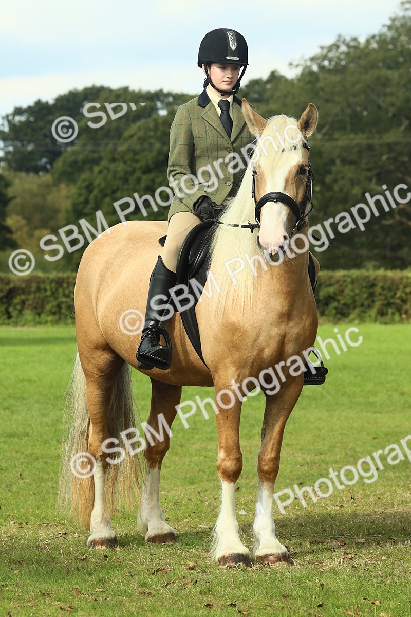 SBM_62676 - S63 - Other Coloured Horse Ridden