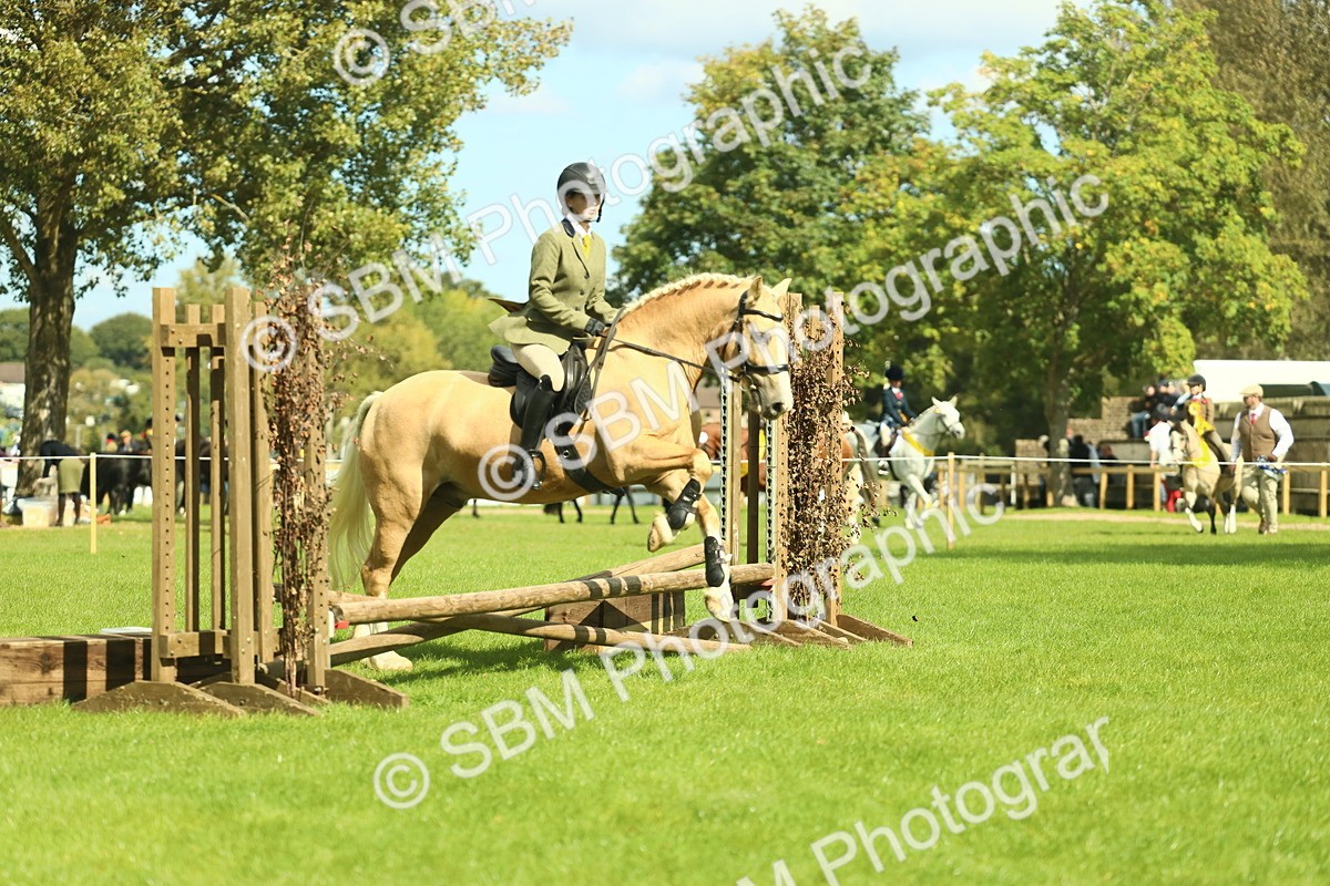 SBM_42113 - S29 - Novice & Newcomers Working Hunter Pony