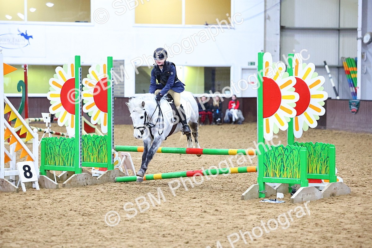 SBM_001395 - Class 3 - Christmas Tree Stakes - 60cm