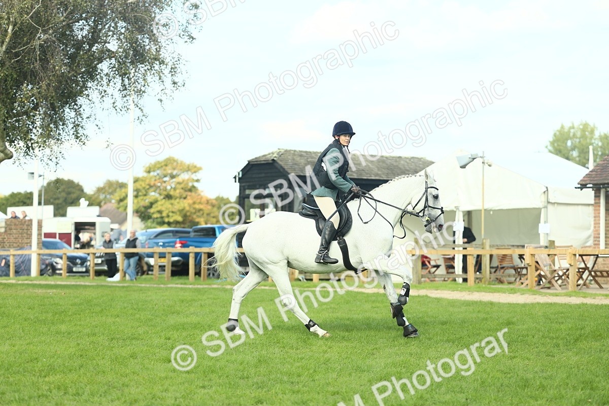 SBM_50587 - S33 - Working Hunter & Working Show Horse