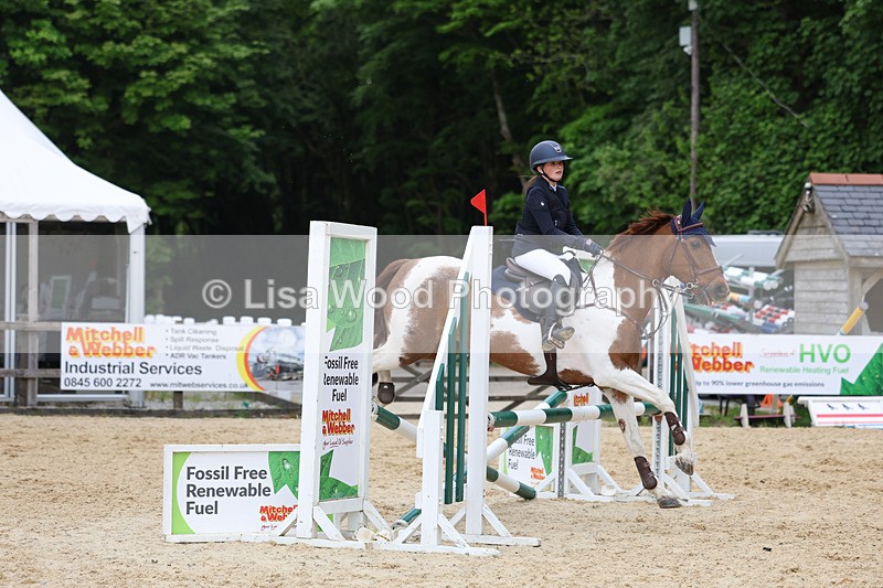 3E7A0112 - Class 13: Pony British Novice/80cm open