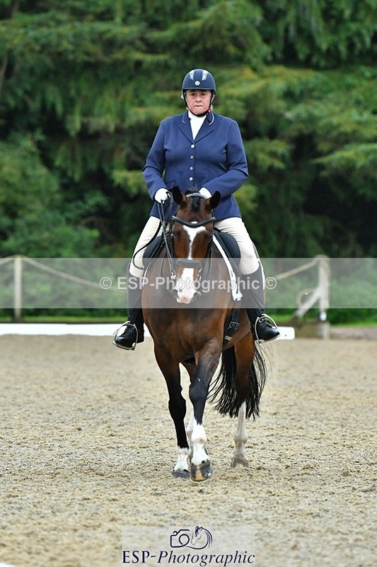 230722-160150-03841 - Cls 5, Elementary Silver 15.10 to End