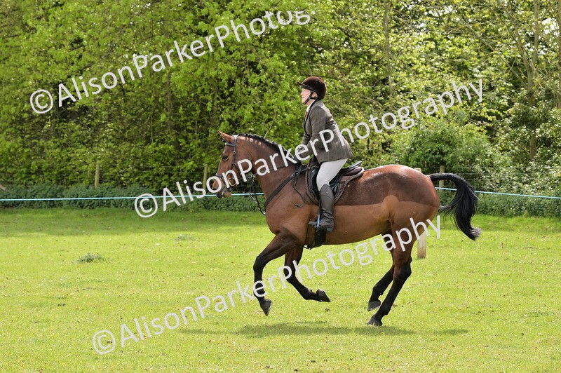 20260426-3704 - Class 22 - Working Hunter
