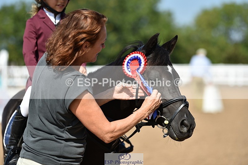 230903A-113630-04228 - Cls 18 Pony Brit Novice & 80cm Open