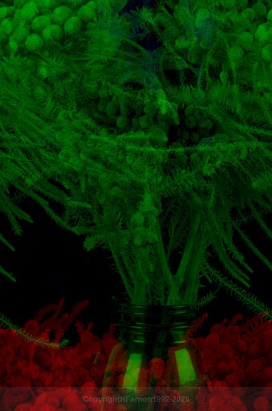 STILL LIFE-CYCLE - STILL LIFE-CYCLE I 2012