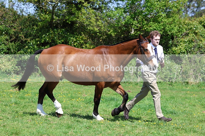 3E7A0282 - Class 19: Best Coloured in Hand