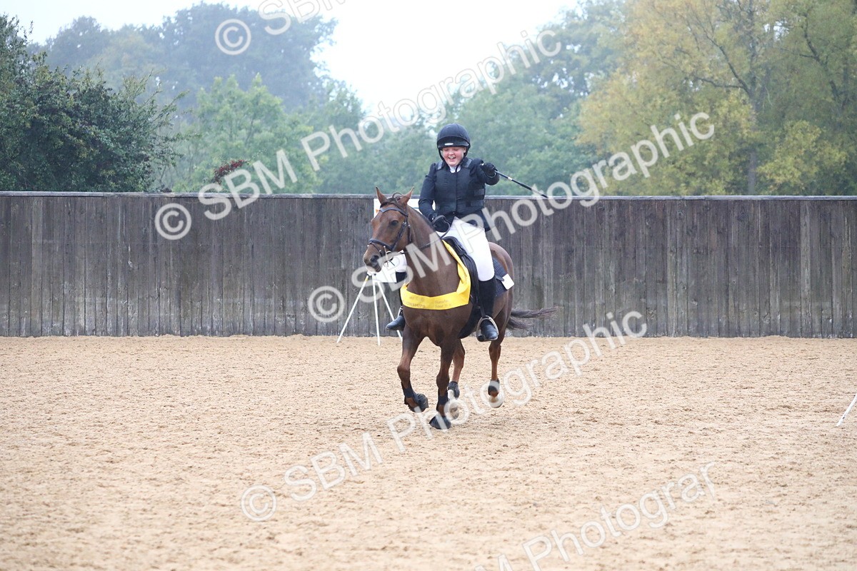 SBM_71896 - J4 - Mini Tour Junior Pony 45cm Championship