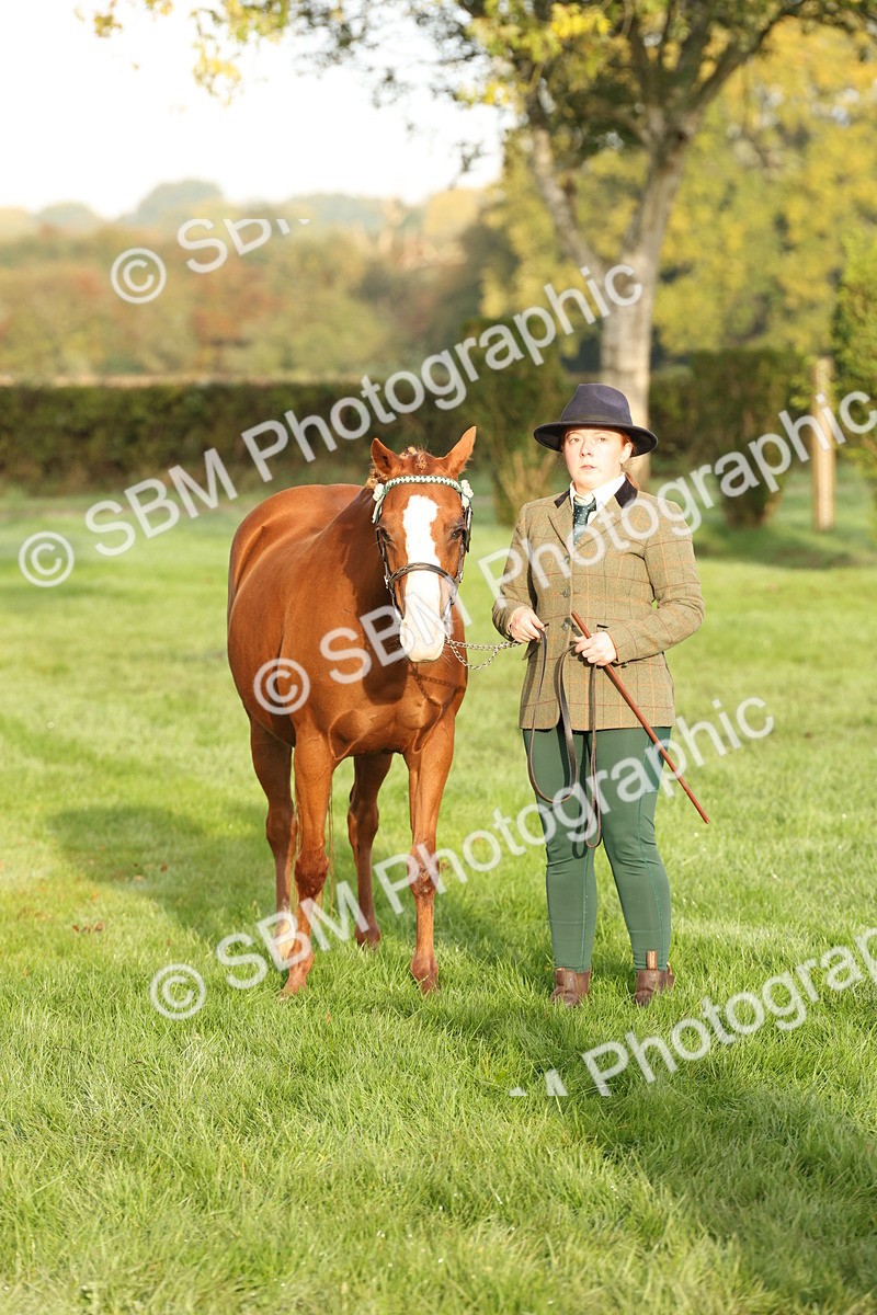 SBM_54443 - S51 - Foreign Breeds In Hand