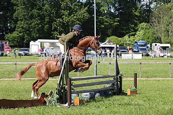 IMG_4578 - Working Hunter