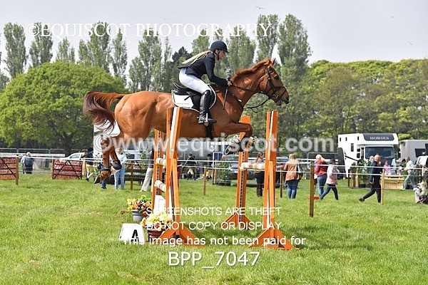BPP_7047 - CLASS 3 RHS Fox Champ Qual (1.20m)