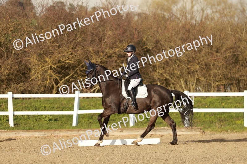 20260314-6339 - CT7 - Elementary 2