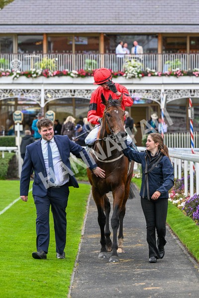 101025-Race 6-Dan Tucker-0507 - Race 6 Copper Knight Winning-Most Horse Handicap at York