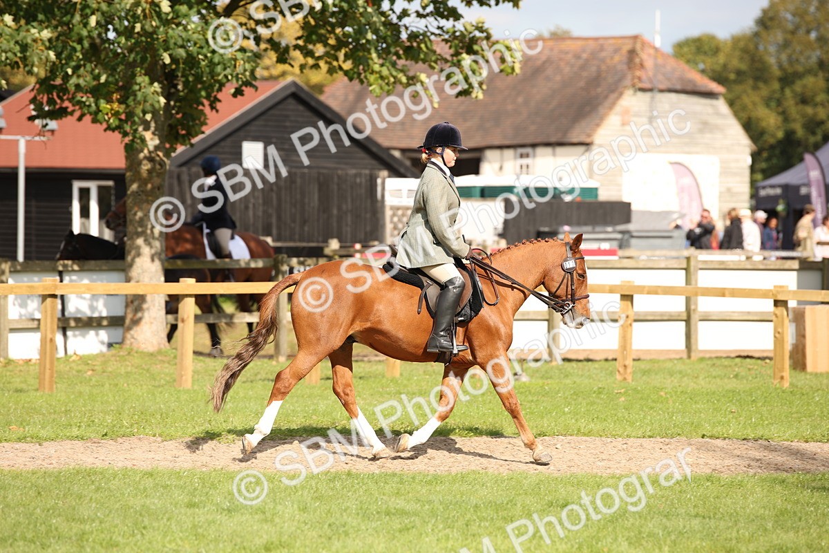 SBM_49964 - S26 - Young Veteran - Ridden
