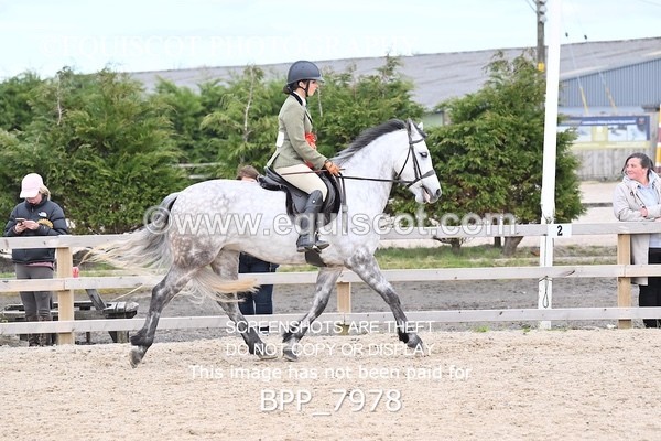 BPP_7978 - SUPREME CHAMPIONSHIP