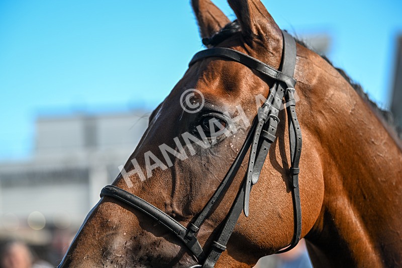 090925-Race 4-U Sure Do-8989 - Race 4