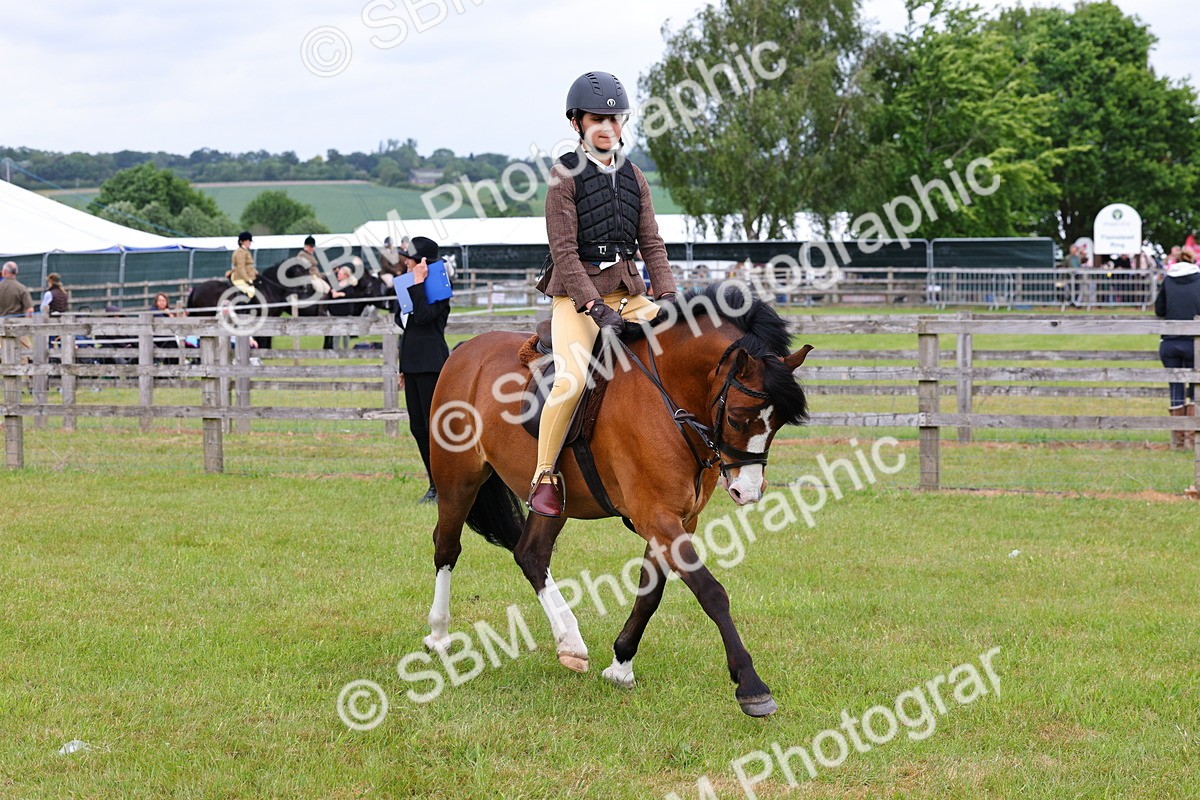 SBM_08561 - Class 42-43 - LIHS BSPS Heritage Working Sports Pony