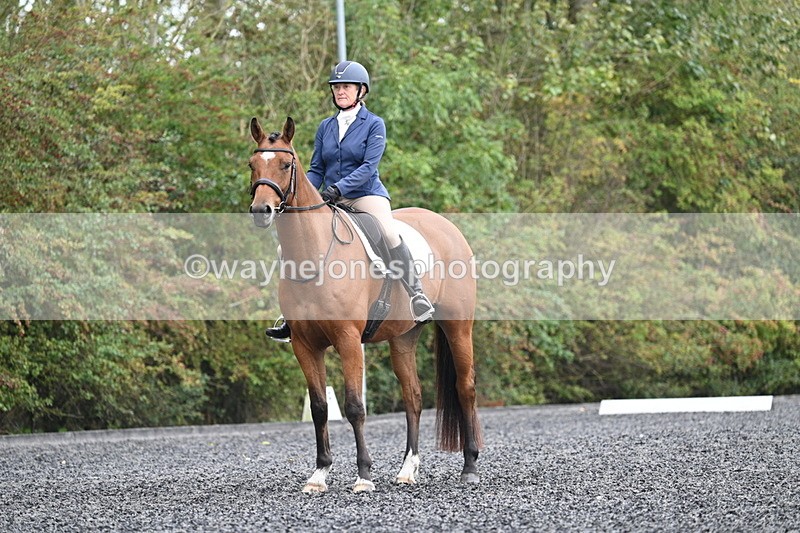 WJ7_4408 - Time 11:43 to 12:09