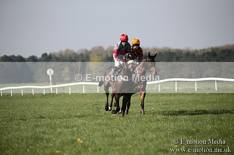 PtP 210418 495 - South & West Wilts Point-to-Point Larkhill 21/04/18