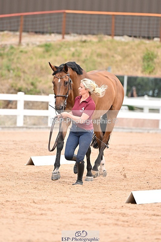 250716-153721-02054 - Trot Up 3.30 to 4.30