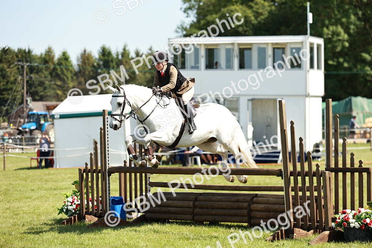 SBM_18294 - Class 112-113 - BSPS LIHS Working Sports Pony