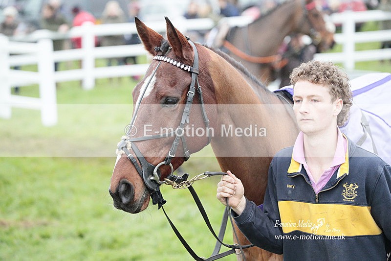 PtP 271122 718 - Hursley Hambledon Hunt Point-to-Point - Larkhill - 27/11/22