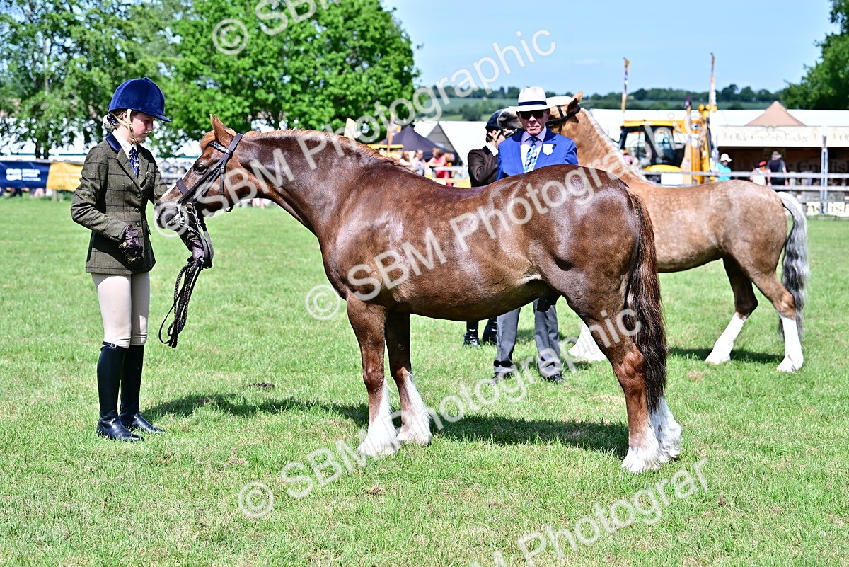 SBM_08050 - Class 61-62 - TSR  M&M Ridden Amateur of the Year