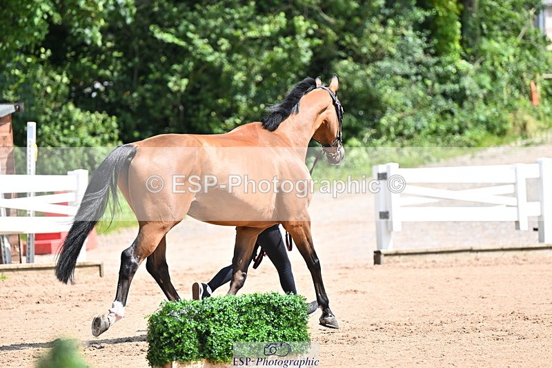 240718A-105242-01044 - Trot Up 11am to 12pm