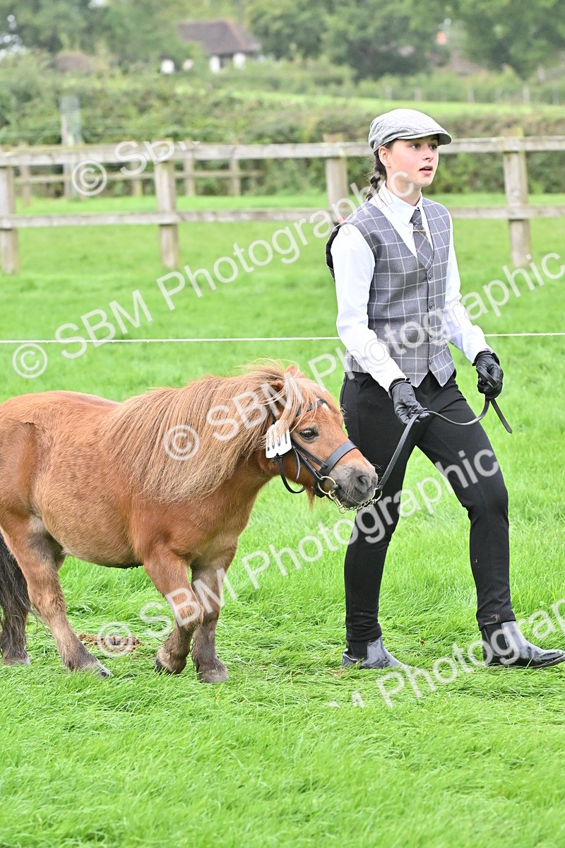 SBM_60927 - S48 - Mountain & Moorland In Hand Small Breeds